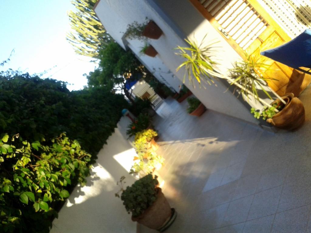 B&B Il Girasole Ното Экстерьер фото