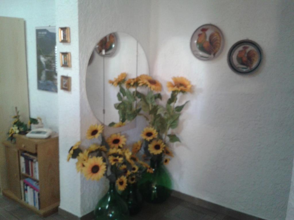 B&B Il Girasole Ното Экстерьер фото