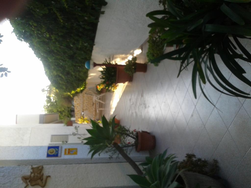 B&B Il Girasole Ното Экстерьер фото