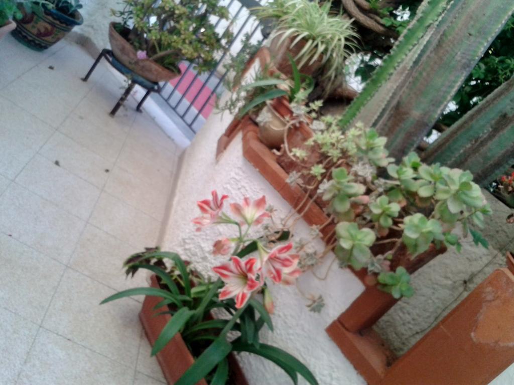 B&B Il Girasole Ното Экстерьер фото